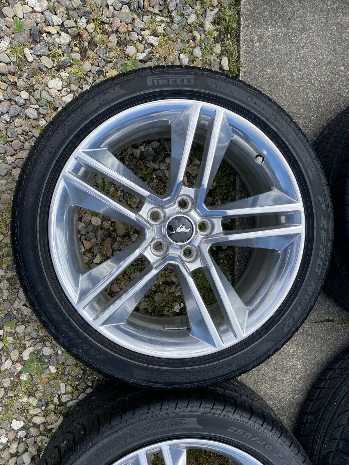 Original Ford Mustang GT 19 inch rims JR3Z1007M