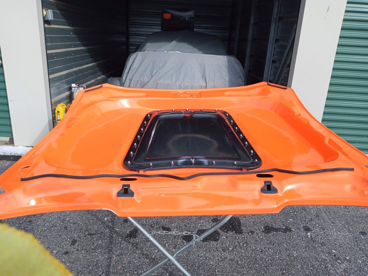 gt500 style 18-23 Cervini hood