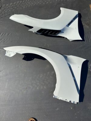 Stock GTR fenders with carbon vent