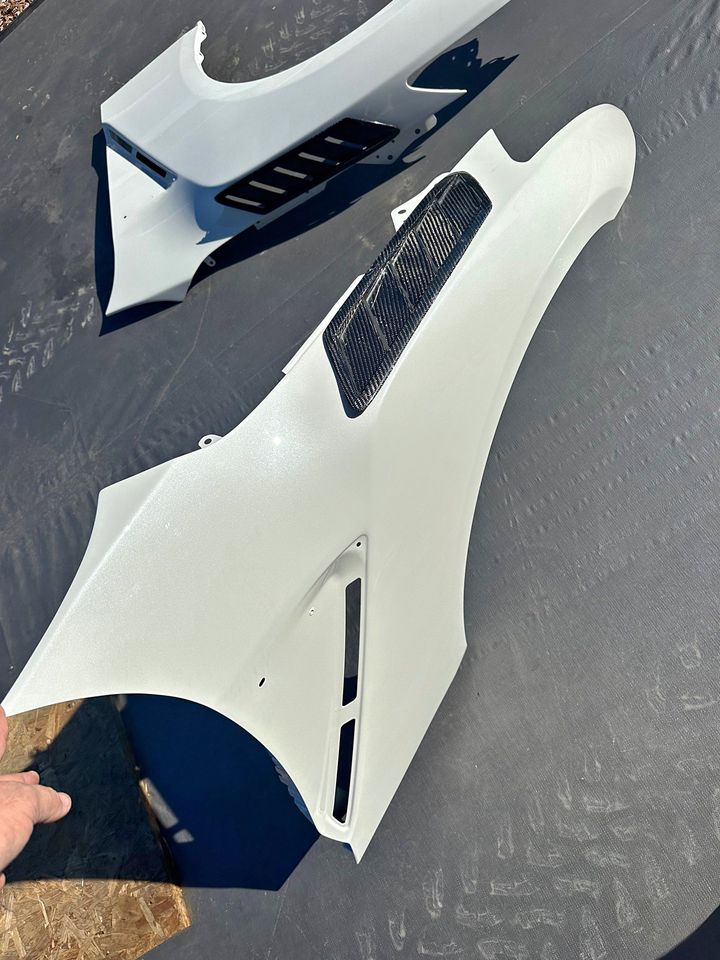 Stock GTR fenders with carbon vent