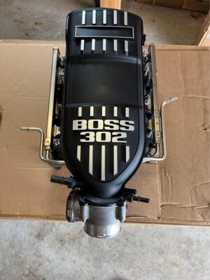 Ported Boss 302 18-20 F150 5.0